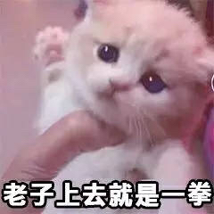 微信爆笑恶搞聊天斗图表情包