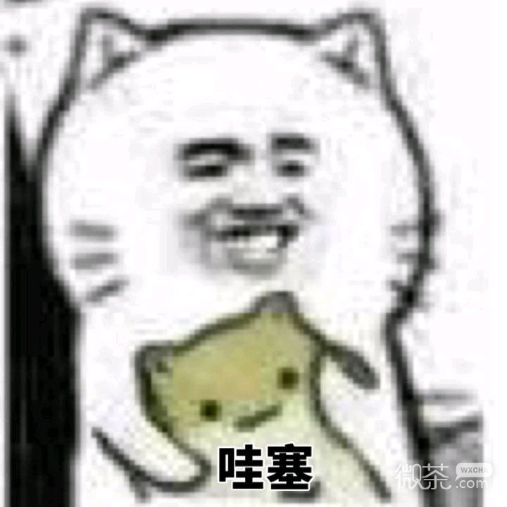 微信逗比恶搞斗图表情包