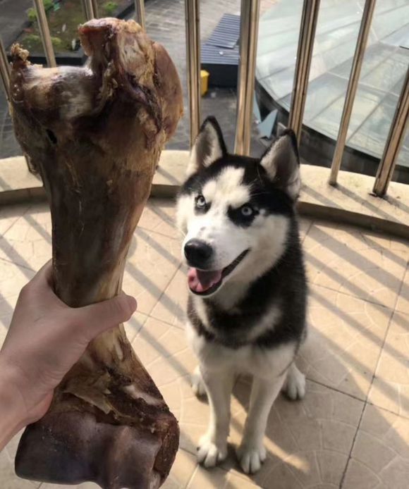 群聊调皮恶搞傻屌斗图微信表情包