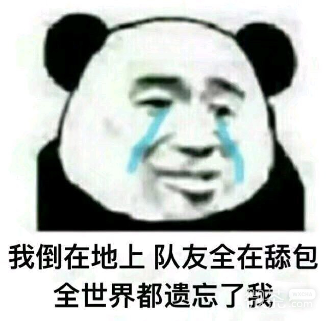 微信逗比恶搞斗图表情包