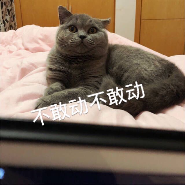 微信爆笑恶搞聊天斗图表情包