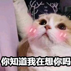 放过我微信恶搞傻屌斗图表情包