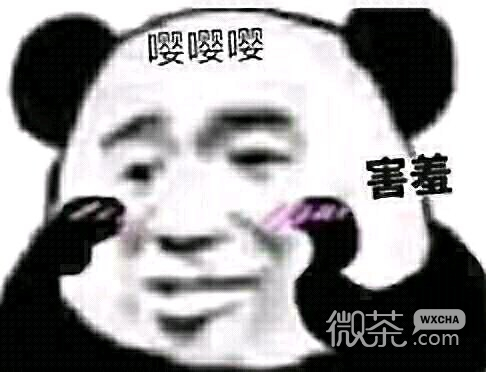 妈卖批微信恶搞傻屌斗图表情包