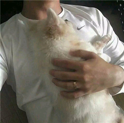 微信冷漠迷人男生头像