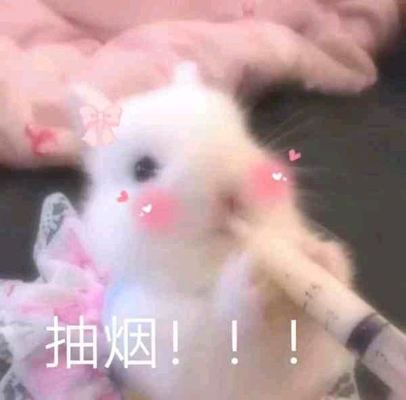 说不出的委屈微信恶搞傻屌斗图表情包