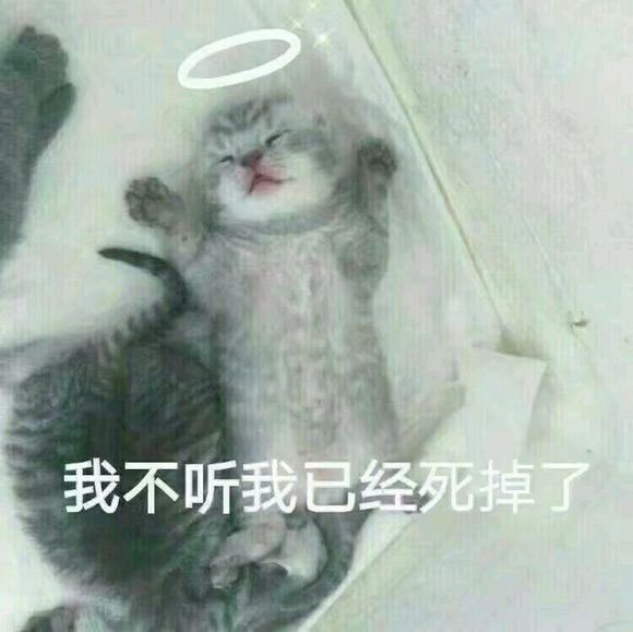 个性调侃微信恶搞傻屌斗图表情包