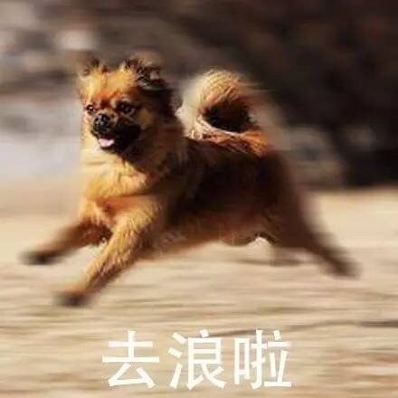 微信搞怪傻屌金馆长斗图表情包