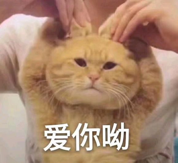 说不出的委屈微信恶搞傻屌斗图表情包