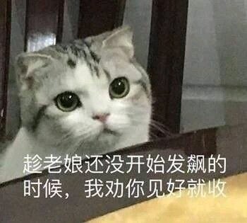 微信搞怪傻屌金馆长斗图表情包