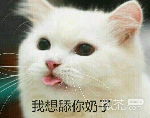 放过我微信恶搞傻屌斗图表情包