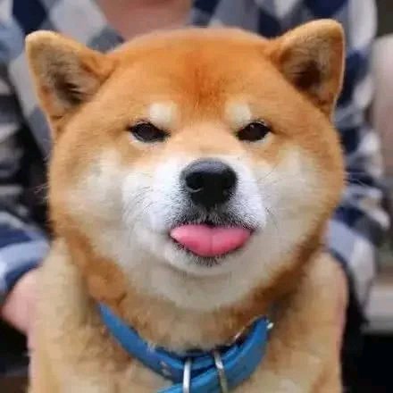 妈卖批微信恶搞傻屌斗图表情包