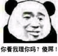 妈卖批微信恶搞傻屌斗图表情包
