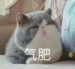 说不出的委屈微信恶搞傻屌斗图表情包