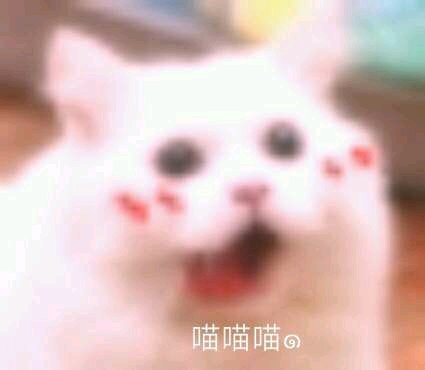 说不出的委屈微信恶搞傻屌斗图表情包