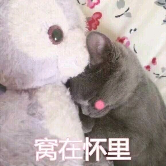 说不出的委屈微信恶搞傻屌斗图表情包