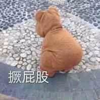 说不出的委屈微信恶搞傻屌斗图表情包