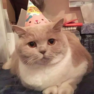 可爱软萌的微信极品萌娃头像合集下载