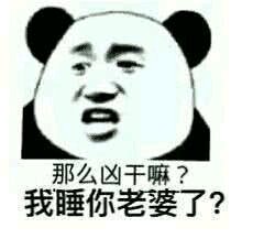 微信逗比傻屌熊猫头斗图表情包