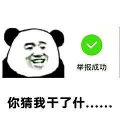 微信逗比傻屌熊猫头斗图表情包