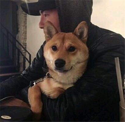 微信清新阳光少年男生头像