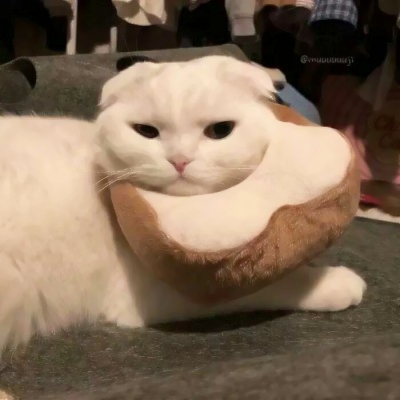 可爱软萌的微信极品萌娃头像合集下载