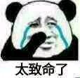 微信逗比傻屌熊猫头斗图表情包