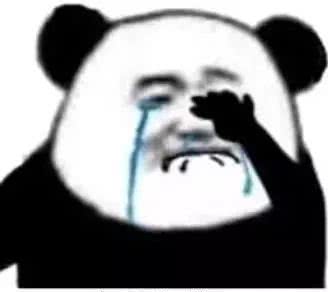 微信逗比傻屌熊猫头斗图表情包