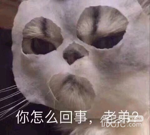 微信搞怪恶搞傻屌聊天斗图表情包