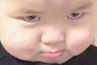 微信逗比傻屌熊猫头斗图表情包