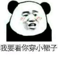 微信逗比傻屌熊猫头斗图表情包