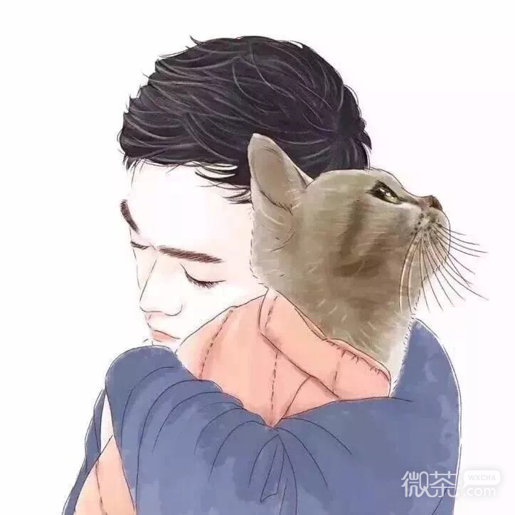可爱好看的萌宠猫咪系列微信情侣头像下载