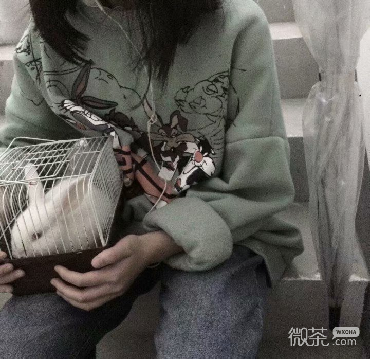 微信清新佛系女生部位头像