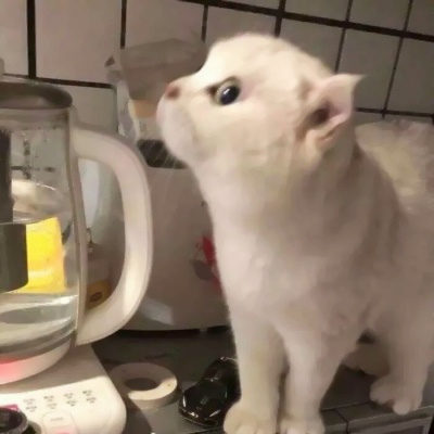 可爱软萌的微信极品萌娃头像合集下载