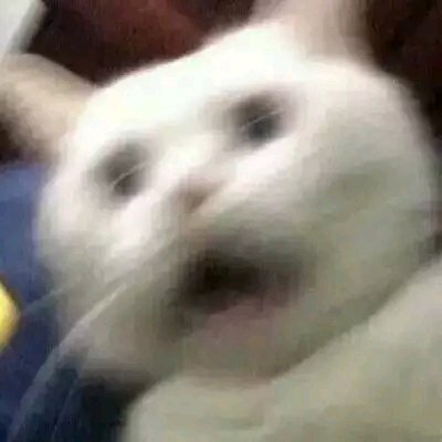 微信逗比傻屌熊猫头斗图表情包