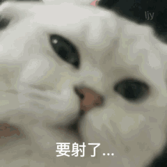 微信逗比傻屌熊猫头斗图表情包