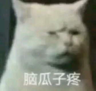 微信逗比傻屌熊猫头斗图表情包