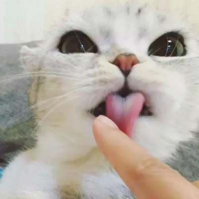 可爱软萌的微信极品萌娃头像合集下载