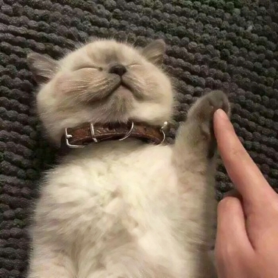 可爱软萌的微信极品萌娃头像合集下载