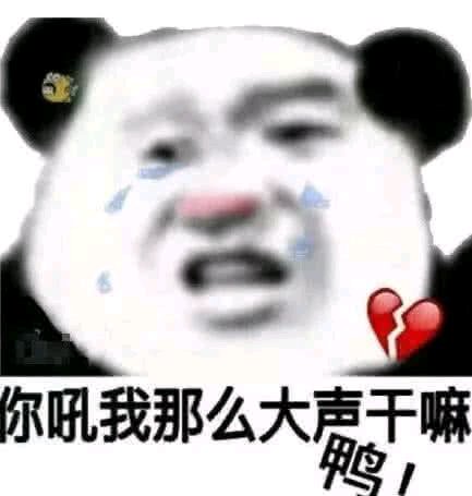 微信逗比傻屌熊猫头斗图表情包