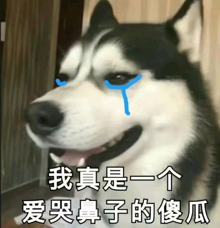 微信近期斗图恶搞表情包2019/4/12(二)