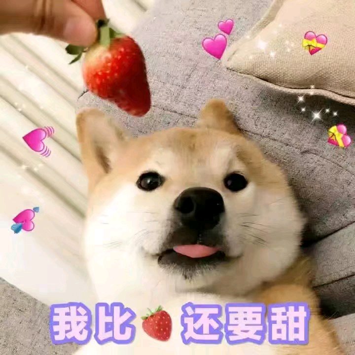 微信近期斗图恶搞表情包2019/4/12(二)