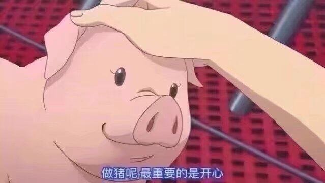 微信近期斗图恶搞表情包2019/4/12(二)