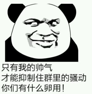 微信滑稽搞怪熊猫头斗图表情包