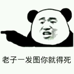 爆笑恶搞熊猫头斗图微信表情包