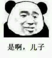 微信滑稽搞怪熊猫头斗图表情包