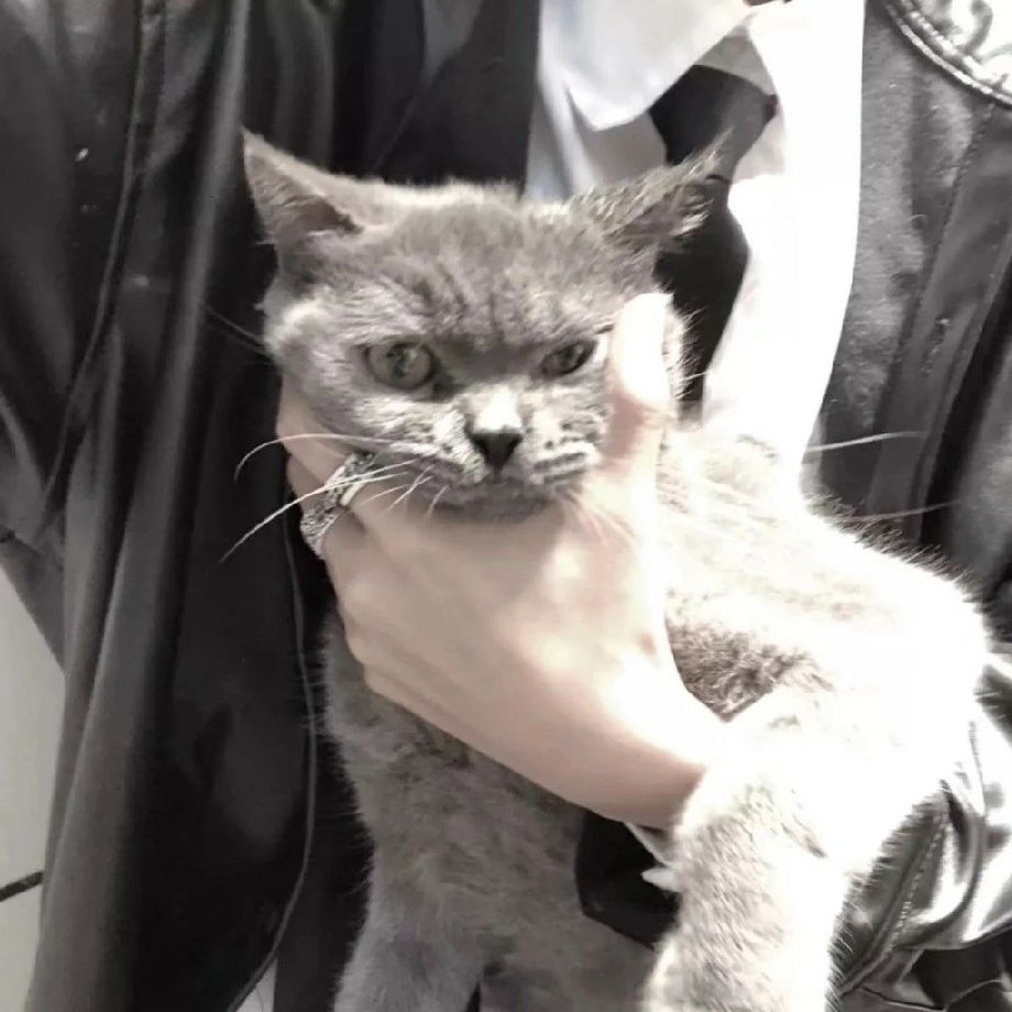 微信简洁寂寞男生头像