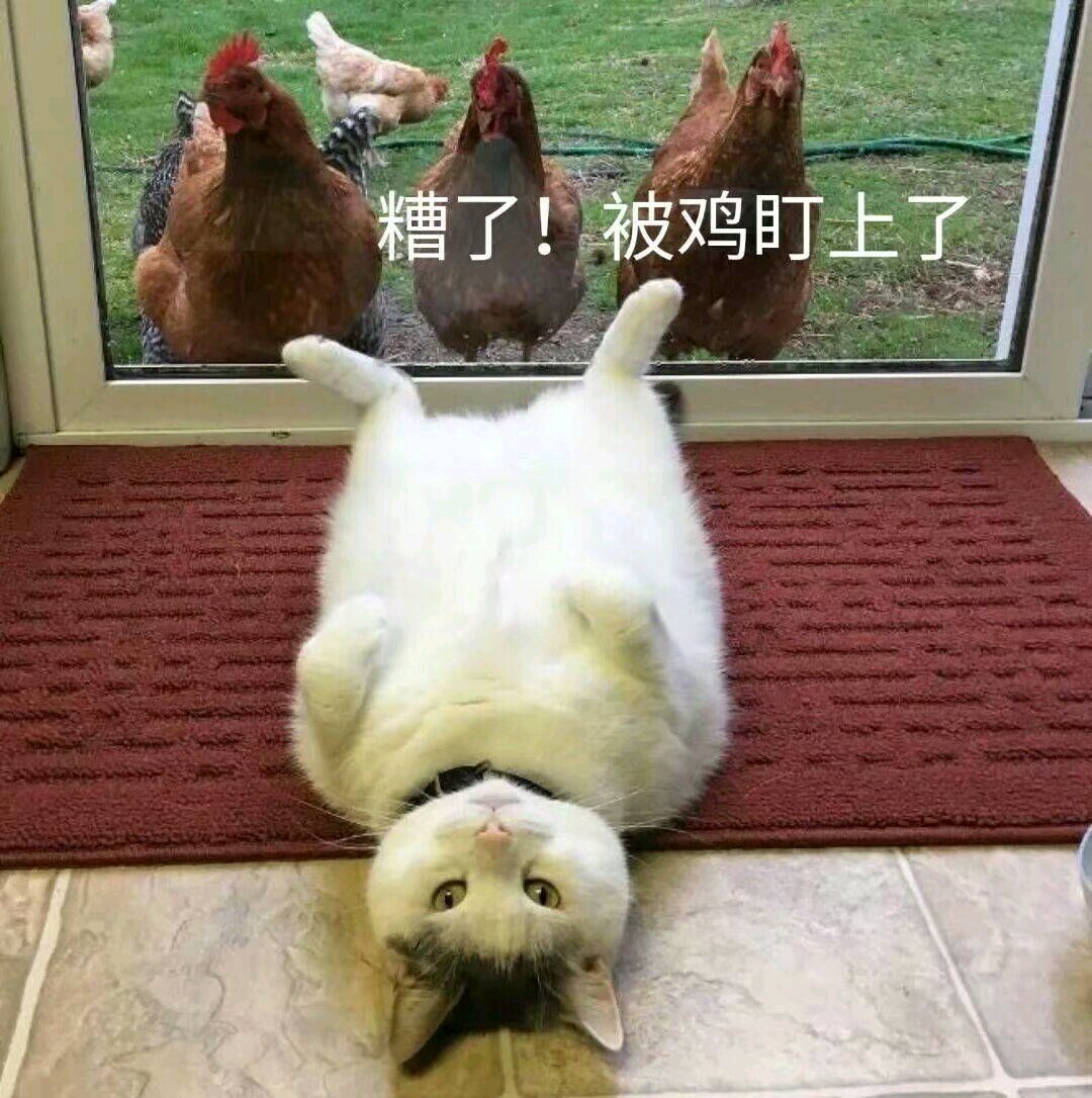 你快乐吗微信恶搞傻屌斗图表情包