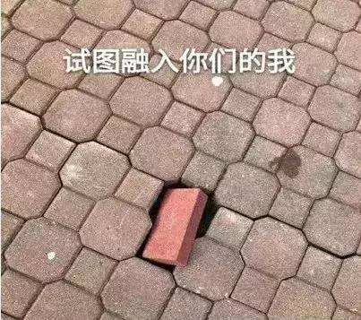 你快乐吗微信恶搞傻屌斗图表情包