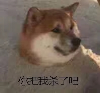 你快乐吗微信恶搞傻屌斗图表情包