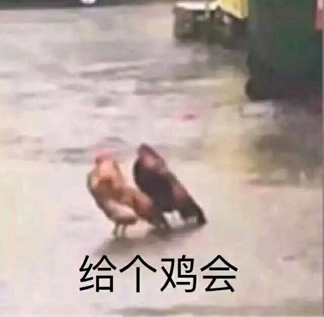 你快乐吗微信恶搞傻屌斗图表情包